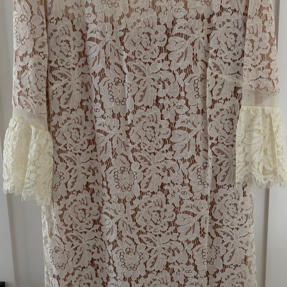 BCBGMaxAzria Cream Lace Dress
